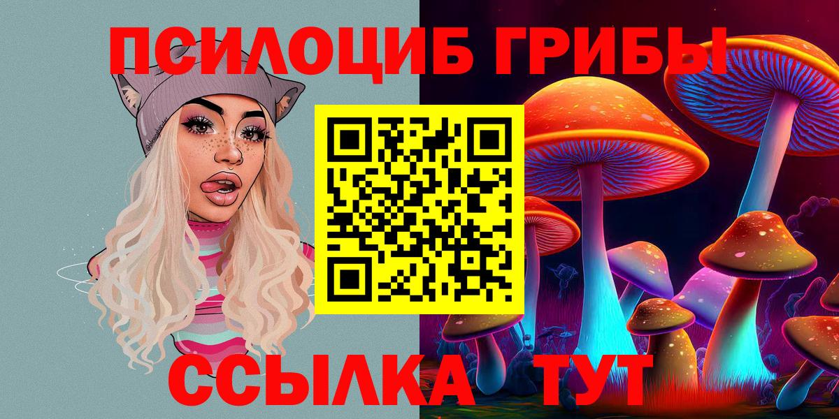 Галлюциногенные грибы Psilocybine cubensis  Псилоцибиновые грибы MAGIC MUSHROOMS  Вход с VPN  Костомукша 