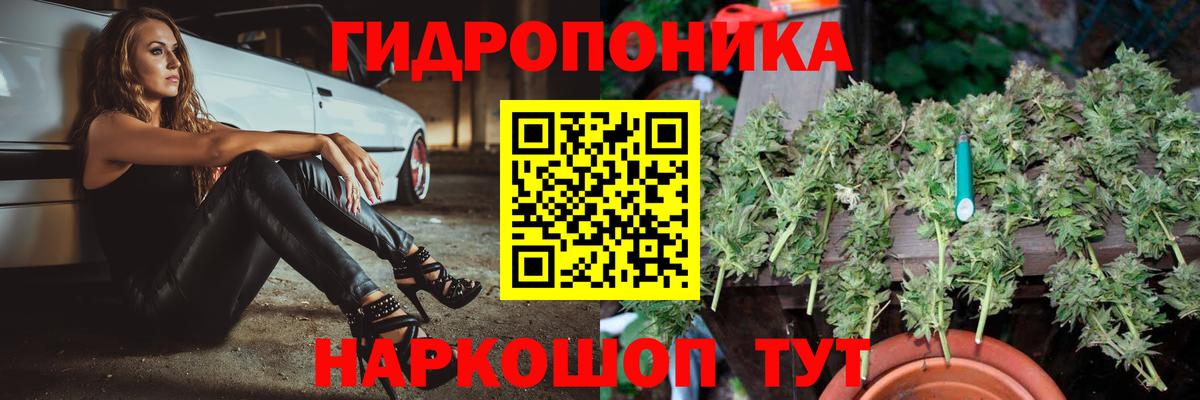 Бошки Шишки тримм Костомукша